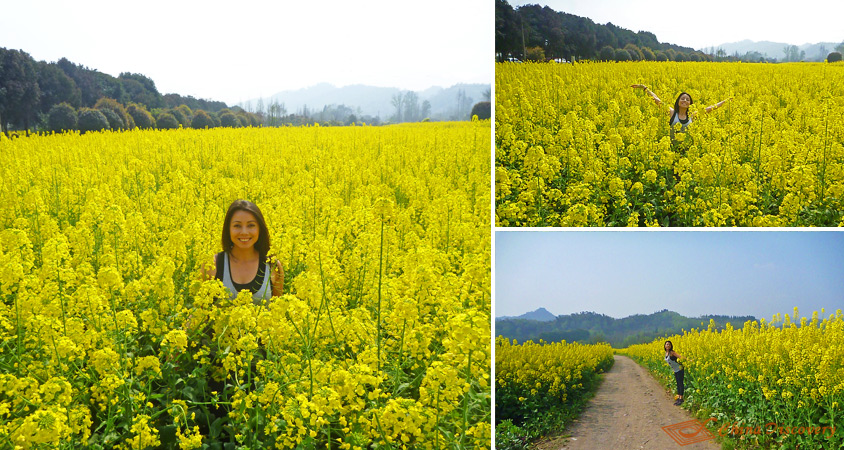 Rachel Grant's Dujiangyan Panda Experience