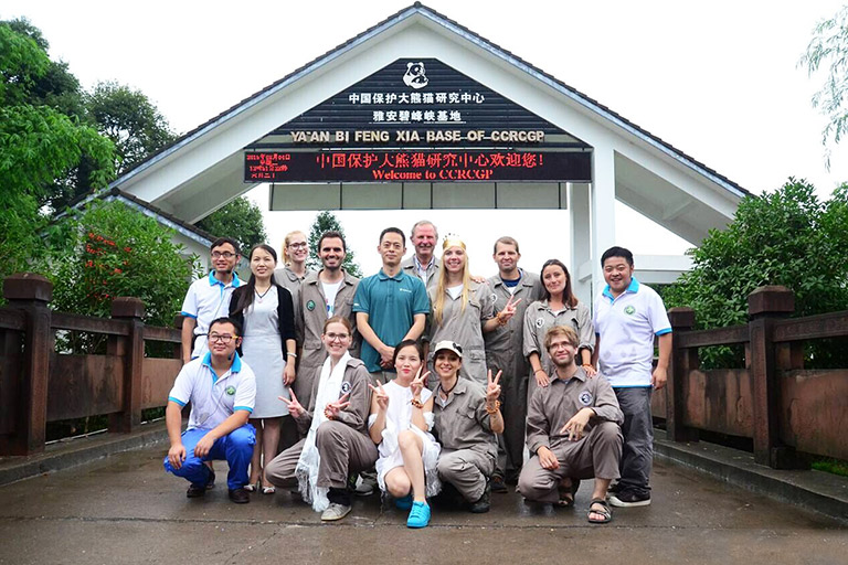 Bifengxia Panda Volunteer Tour