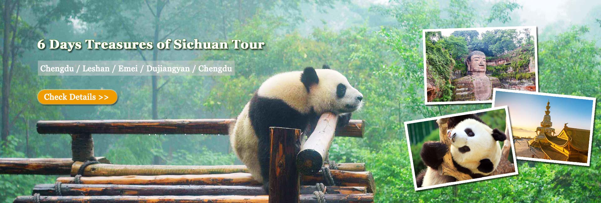 panda travel tour packages