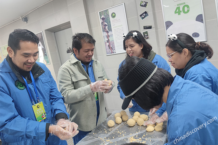 Dujiangyan Panda Volunteer Tour