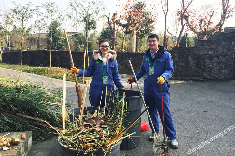 Panda Volunteer Tour at Dujiangyan