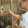 Feed Pandas at Bifengxia Panda Base