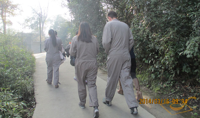 On the way to Oversea-born Panda Paradise
