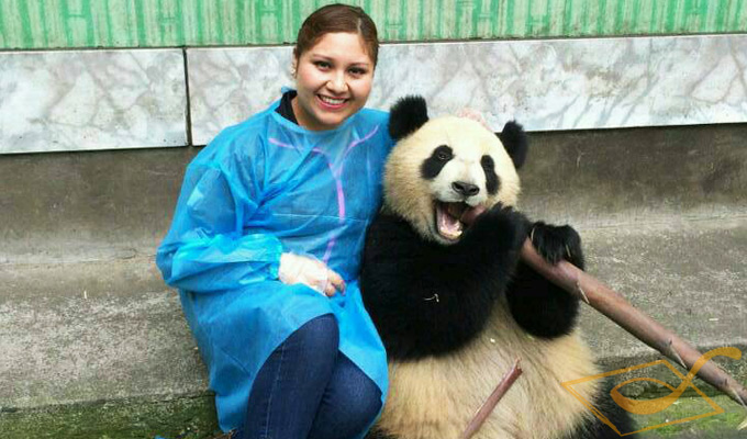 Hold a Panda