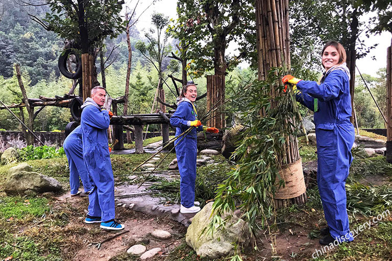 Dujiangyan Panda Volunteer Program